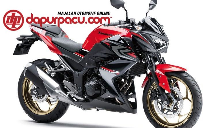 Kawasaki Z250 Bermasalah Lagi